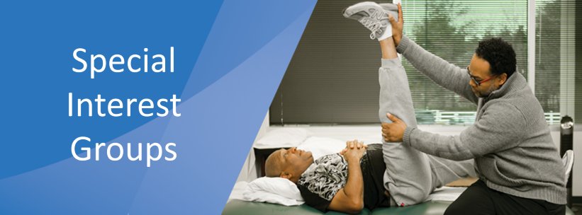 Maine Orthopaedic-Manual PT SIG